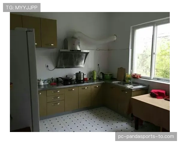 王楠家的厨房比我家客厅还大