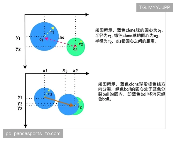 维尔茨身体隐患对其比赛稳定性的影响分析