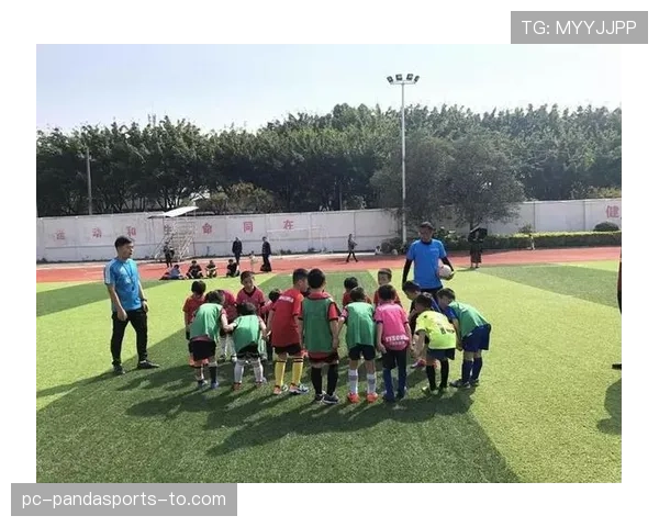 护腿板要求与裁判判罚标准：材质、覆盖与安全细则