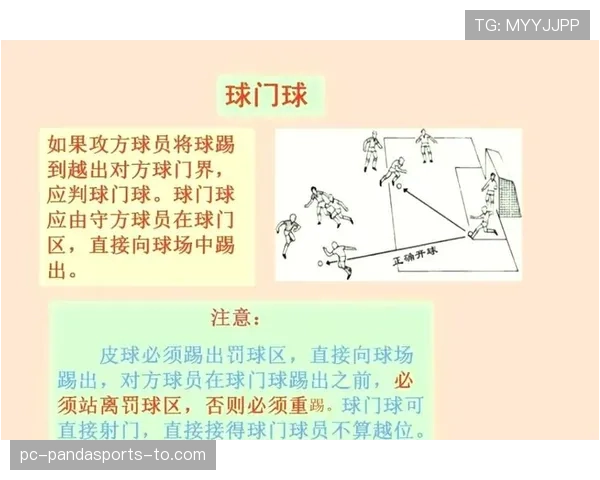 球门球规则详解：判罚标准与执行流程解析