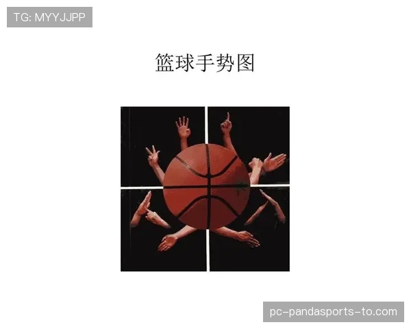 篮球规则解析：手部接触判定的合法性与犯规界限